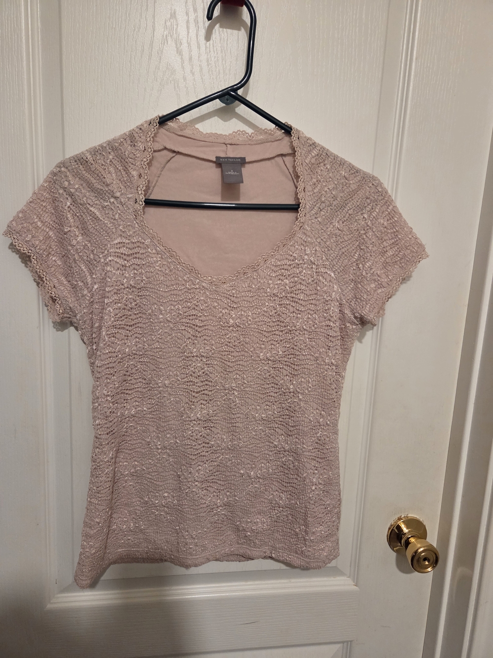 Ann Taylor Blush Pink Lace Short Sleeve Scoop Neck Top